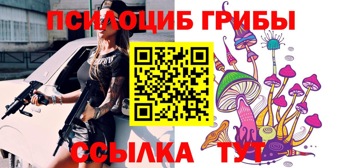 Псилоцибиновые грибы Magic Shrooms  Вход с VPN  Миллерово  наркошоп  Псилоцибиновые грибы Psilocybine cubensis 